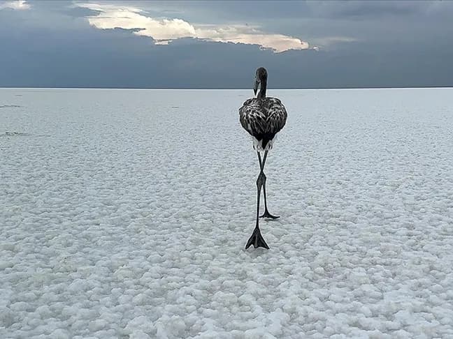 Tuz Gölü Turu